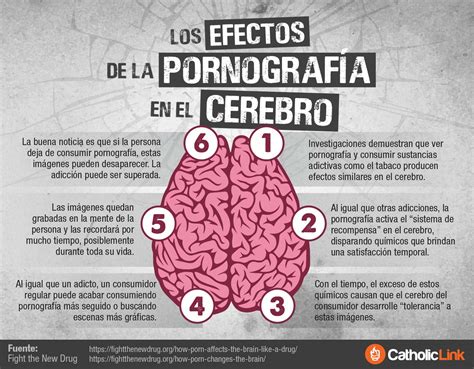 ver pornogrfia|Los efectos que tiene en el cerebro consumir pornografía en .